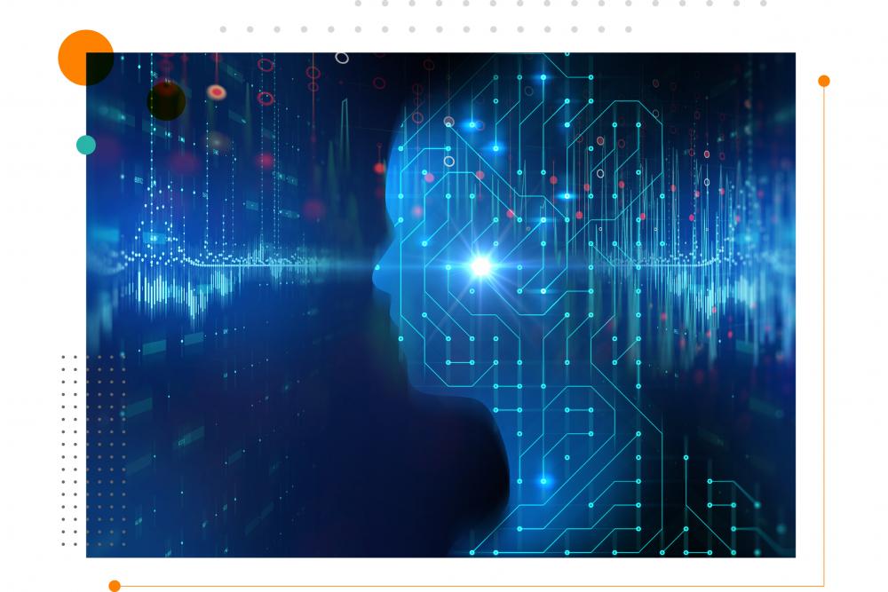 Yieldex case study 08 picture